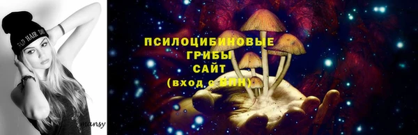 2c-b Медногорск