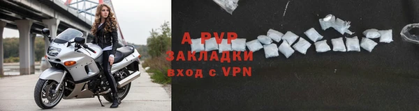 стафф Медвежьегорск