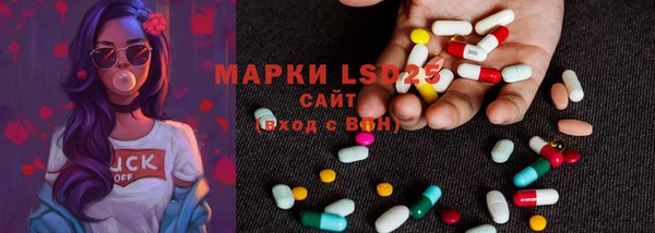 стафф Медвежьегорск