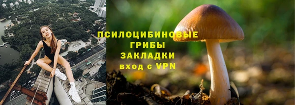 стафф Медвежьегорск