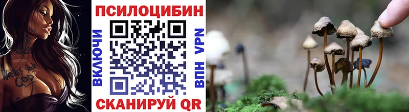 Галлюциногенные грибы прущие грибы  Купить  Кировск 